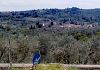 il-polso-della-finanza-tra-le-colline-toscane