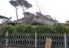ho-un-albero-a-pochi-centimetri-da-casa