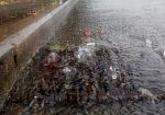 nubifragio-a-firenze-il-5-maggio-un-martedi-eccezionale