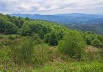 rivoluzione-verde-in-toscana