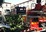 cade-albero-in-piazza-bartali-paura-e-polemiche