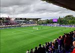 Amichevoli viola, il programma dell'estate 2026