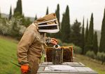 sabato-23-maggio-la-festa-delle-api-e-della-biodiversita-a-travalle
