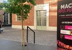 opel-firenze-rocks-2026-la-guida-dautore-tra-visarno-arena-e-battito