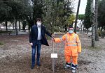 firenze-torna-il-progetto-di-forestazione-urbana
