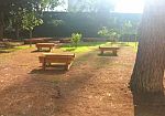 come-cambiano-le-scuole-di-firenze