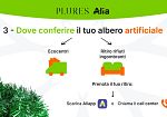 come-smaltire-correttamente-gli-alberi-di-natale