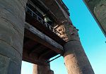 martinella-firenze-risponde-alla-provocazione