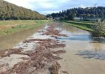 piena-dellarno-colpa-delle-canne-tagliate