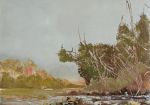il-suono-del-vento-annamaria-buonamici-espone-a-viareggio