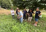 ortica-e-rucola-il-benessere-del-prato-tra-tradizione-e-scienza