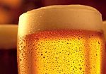 la-filiera-dellorzo-da-birra-in-toscana