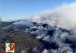 incendio-boschivo-tra-lucca-e-pisa-notte-di-lavoro