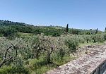 a-firenze-basta-nuove-costruzioni-su-terreni-agricoli