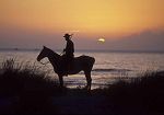 la-toscana-a-due-velocita-ha-salvato-lambiente-della-maremma