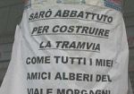 campo-di-marte-rivolta-contro-il-taglio-degli-alberi-per-la-tramvia