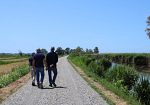 lago-di-massaciuccoli-rialzati-e-rafforzati-gli-argini