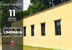 nuova-vita-alla-limonaia-di-villa-montalvo
