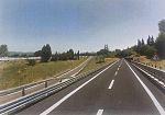 peste-suina-in-toscana