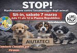 accattonaggio-con-animali-a-firenze-esposto-in-procura