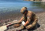bomba-di-guerra-su-spiaggia