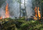 incendi-prorogato-fino-al-13-settembre-il-divieto-di-abbruciamenti