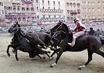 palio-di-siena