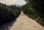 ripristinata-la-pavimentazione-di-via-di-nizzano-con-ecocompatibili