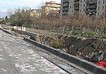 verso-un-referendum-su-tramvia-contro-alberi-nel-quartiere-2
