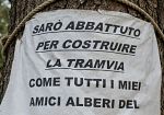 campo-di-marte-rivolta-contro-il-taglio-degli-alberi-per-la-tramvia