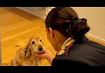 polizia-nuovo-spot-contro-labbandono-degli-animali-in-estate