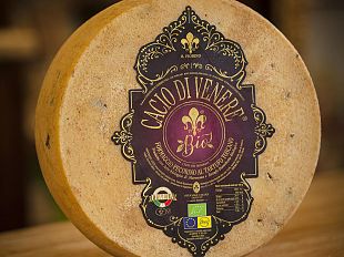 il-cacio-di-venere-vince-un-premio-internazionale