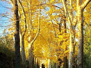 quanto-e-bello-boboli-in-autunno