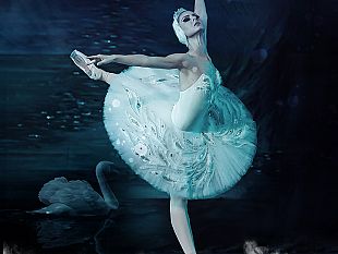 il-lago-dei-cigni-e-giselle-a-sostegno-di-artisti-ucraini