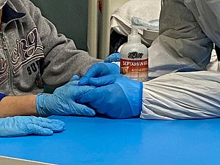 coronavirus-379-nuovi-casi-con-29-decessi