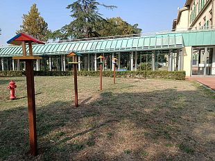 cinque-casette-colorate-per-gli-uccellini-del-meyer