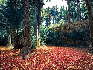 apre-al-pubblico-il-patrimonio-verde-dei-marchesi