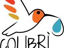 nuovo-centro-sportivo-fiorentina-a-bagno-a-ripoli