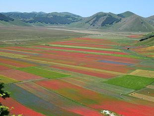 siena-vetrina-daccellenza-per-i-prodotti-di-norcia-amatrice-e-san-ginesio