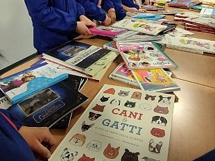 piu-libri-per-bambini-ad-impruneta-grazie-a-giunti