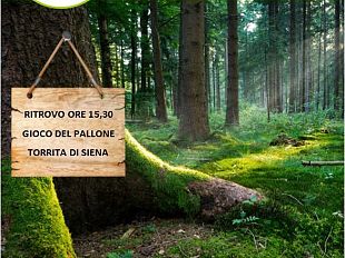 torrita-di-siena-battesimo-per-lassociazione-avventure-toscane