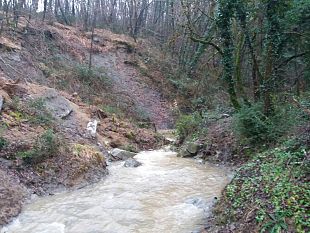 discarica-dimenticata-nel-rio-rovigo