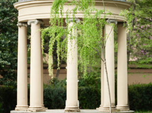 la-spa-di-four-seasons-hotel-inaugura-il-secondo-giardino-del