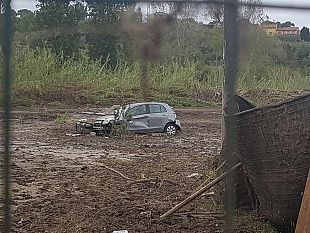 livorno-campagne-devastate-centinaia-di-olivi-sradicati
