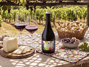 cantine-aperte-2026-non-il-solito-wine-tour