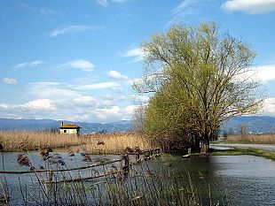 biodiversita-in-toscana-tra-parchi-e-riserve-il-piano-per-il-2019