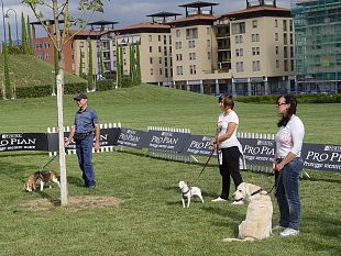b009181456-pro-plan-dog-training-oggi-a-firenze