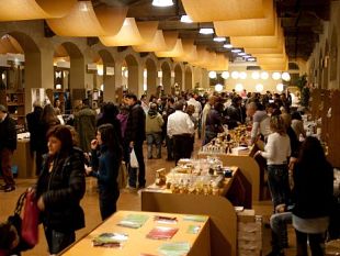 b010040008-le-immagini-di-dolcemente-pisa-2010