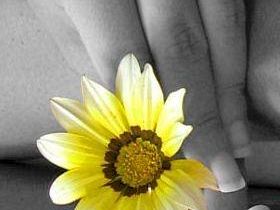 a805151129-su-i-nove-da-firenze-i-i-necrologi-online