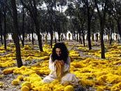 b002242250-shirin-neshat-a-firenze-il-9-marzo